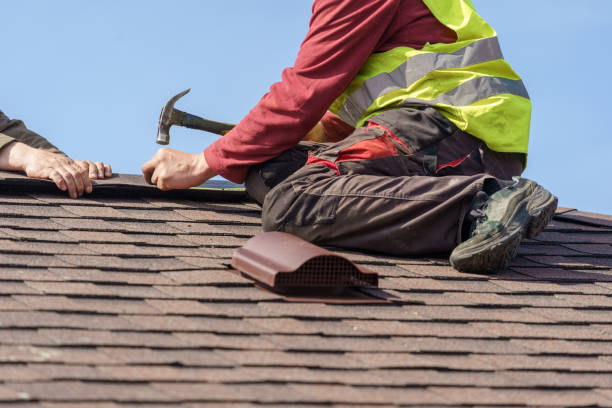 Best Metal Roofing Contractor  in Moroni, UT